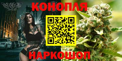 ешки Шебекино