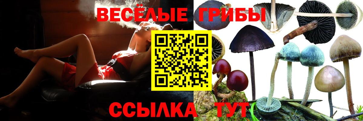 Галлюциногенные грибы ЛСД Миллерово